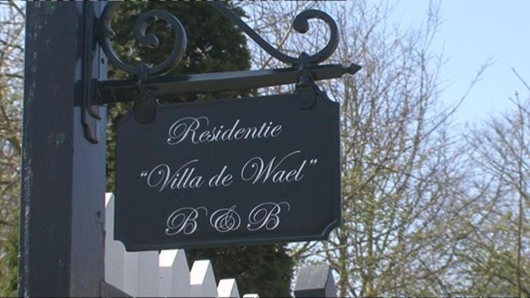 Residentie Villa De Wael ดอมเบิร์ก ภายนอก รูปภาพ
